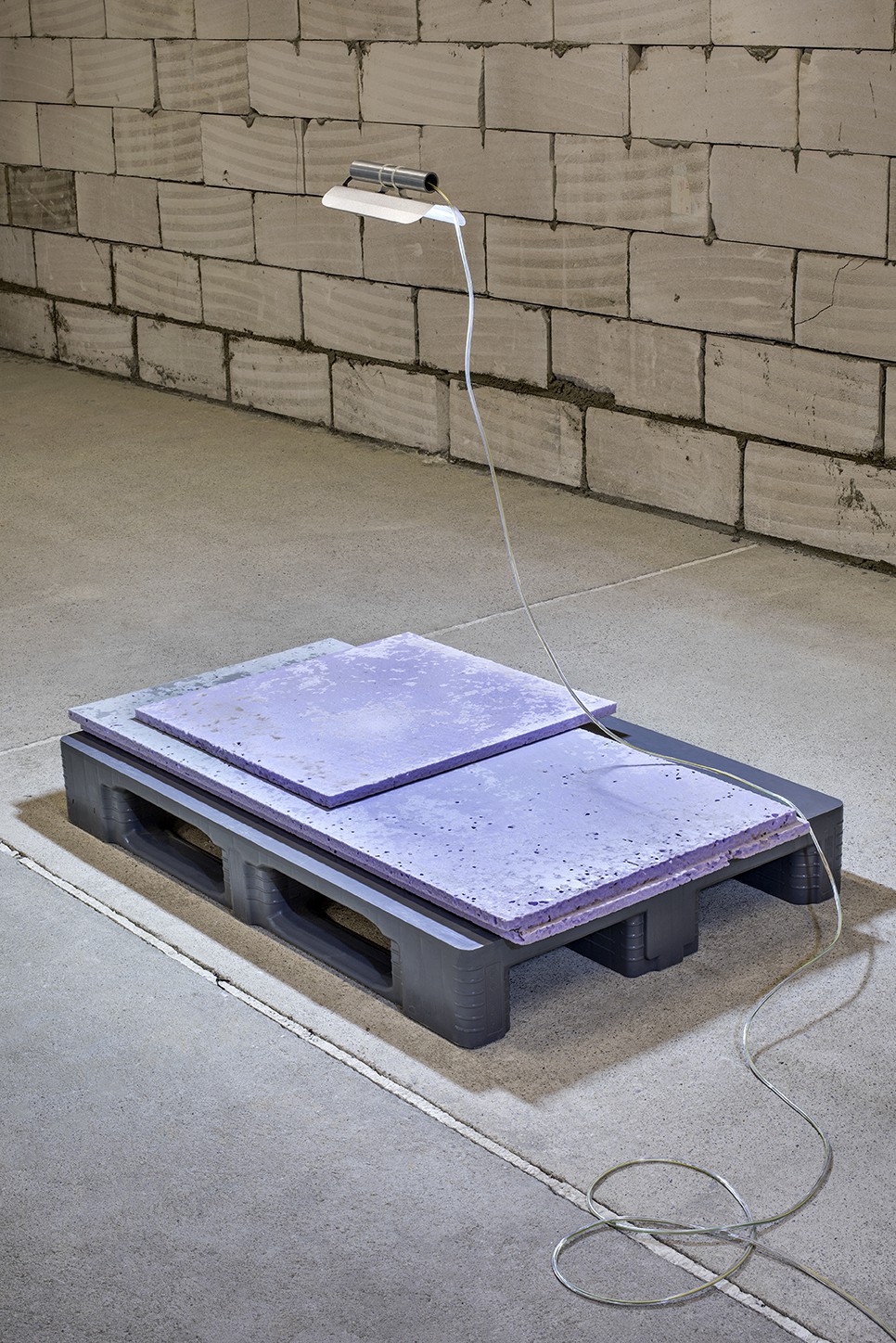 Zwei Reliefs in unterschiedlichen Größen, die von jeweils 1kg Mehlwürmern bearbeitet wurden; Teil der Installation Hybris von Yana Zschiedrich für westpol.space in im Westkreuz Leipzig