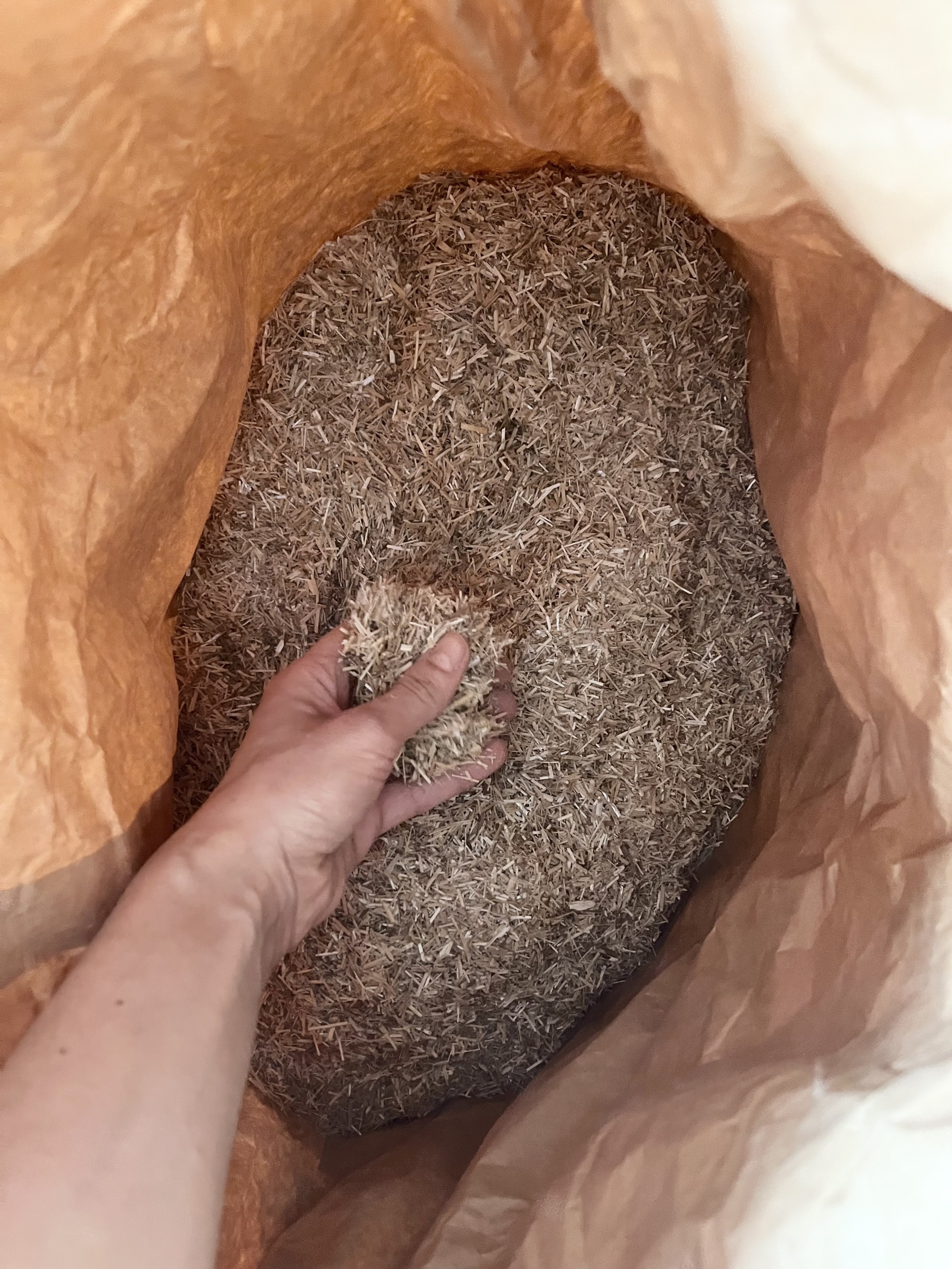 Hand holding natural reed fibers that function as structural reinforcement within the GEOBRIS material system.