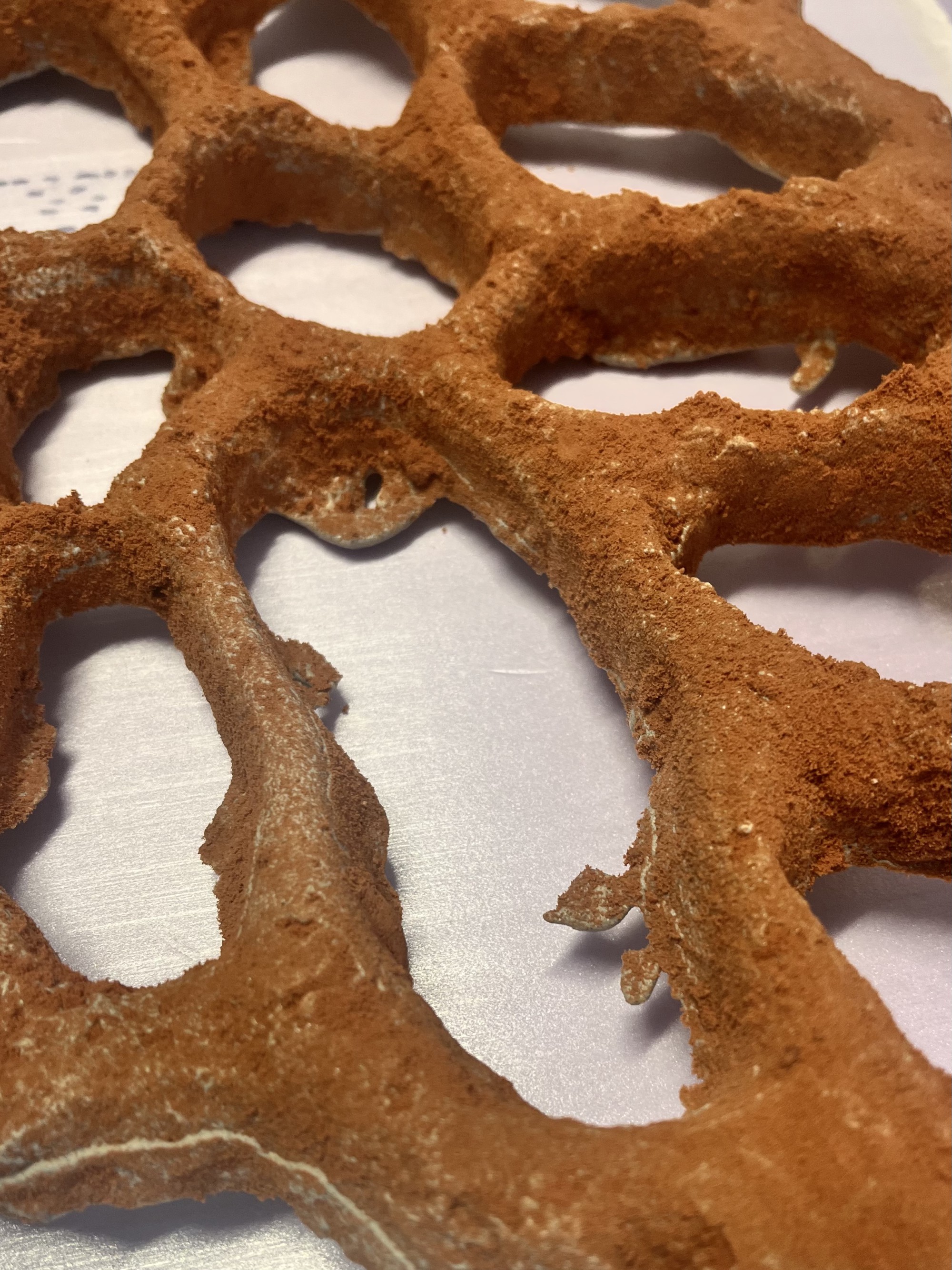 Relief aus GEOBRIS IMAGO mit organischer, reliefartiger Oberfläche; früher Versuch von Yana Zschiedrich, einer faserverstärkten Struktur zur Erhöhung der Stabilität.